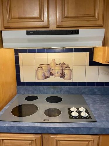 7911 Rottingham Rd, Port Richey FL  34668-2684 exterior