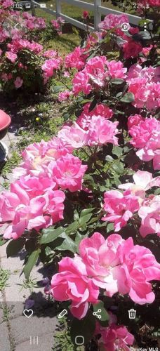 566 Lattintown Rd, Marlborough NY  12542-5143 exterior