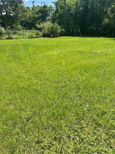 803 Pine Hills Rd, Orlando FL  32808-7209 exterior