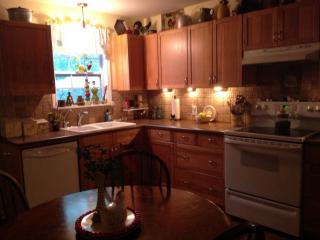 2027 Gruene Rd, New Braunfels TX  78130-3326 exterior