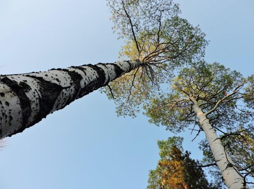 1939 Korlkoff Ln, Sangre De Cristo Ranches, CO 81133-9745