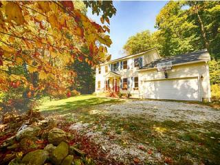 50 Avalanche Rd, Mechanicsburg, VT 05461-6301