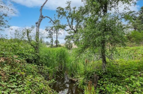 10409 Wolf Rd, Grass Valley CA  95949-7805 exterior