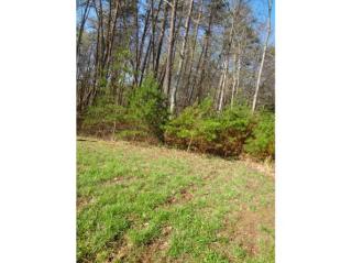 968 Montrachet Ct, Lewisville, NC 27023-8368