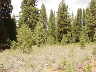 10470 Pine Cone Dr, Truckee, CA 96161-3150