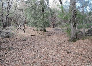 11110 Loch Lomond Rd, Middletown, CA 95461-7549