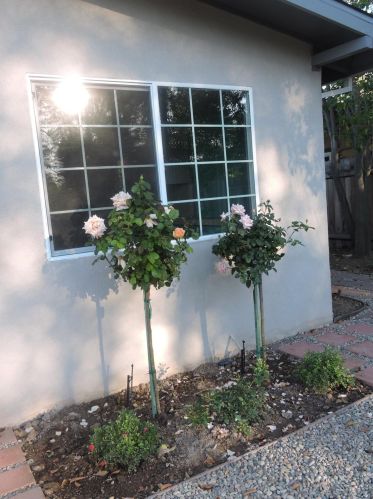 6577 Melrose Dr, North Highlands CA  95660-4378 exterior