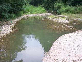3111 Lees Creek Rd, Dover, KY 41034-9690