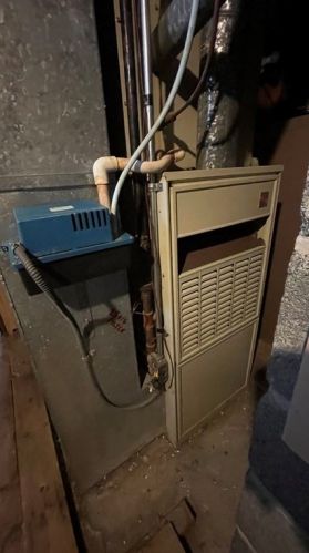 15 Ernest Ave, Worcester MA  01604-2326 exterior