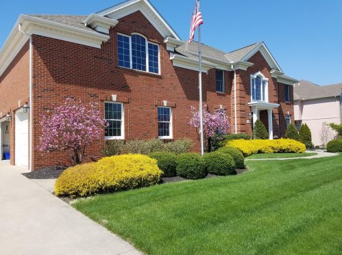 1185 Pineridge Dr, Marion, OH 43302-6790