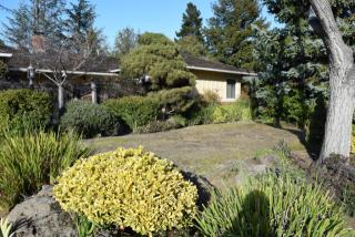 4171 Donald Dr, Palo Alto CA  94306-3824 exterior