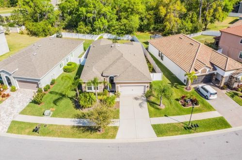 11848 Frost Aster Dr, Riverview FL  33579 exterior