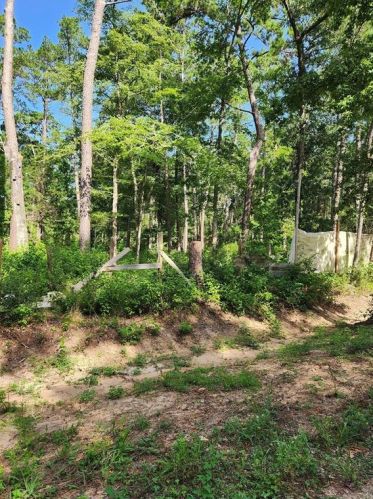 17188 Pin Oak Ridge Dr, Plantersville, TX 77363
