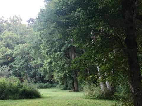 4335 Riffe St, Elliston, VA 24087-4357
