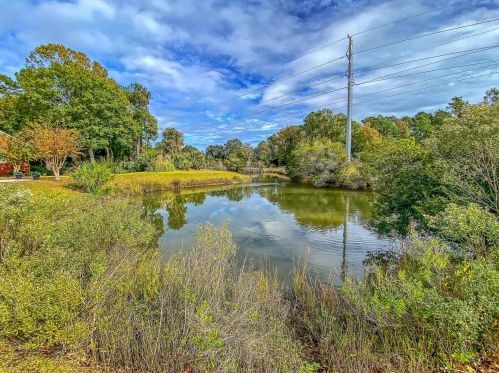 200 Oak Pt Lndg Dr, Mount Pleasant SC  29464-6283 exterior