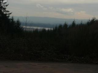 177 Bugatti Ln, Woodland WA  98674-0027 exterior