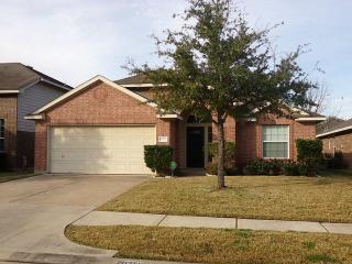 20211 Glacier Falls Dr, Tomball TX  77375-2688 exterior