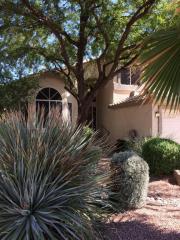 131 Tiago Dr, Gilbert, AZ 85233-5205
