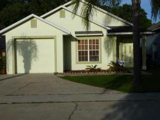 9791 Lupine Ave, Orlando, FL 32824-8753