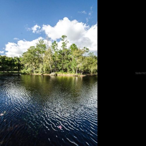 4703 Devonshire Blvd, Palm Harbor, FL 34685-2626