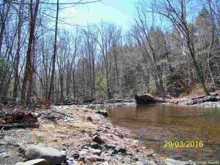 491 Mettacahonts Rd, Leibhardt, NY 12404-5856