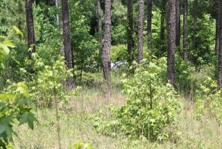 935 Eagles Harbor Dr, Hodges, SC 29653-9094
