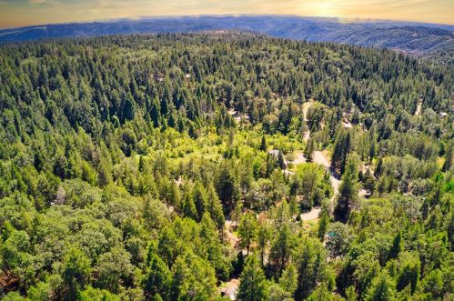 5043 Virginia Bird Mine Ct, Michigan Bluff CA  95631-9733 exterior