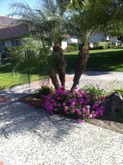 4463 Larwin Ave, Cypress CA  90630-4154 exterior
