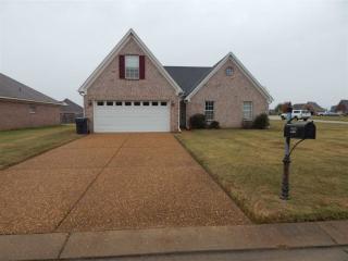220 Mossy Springs Dr, Somerville TN  38060-3468 exterior