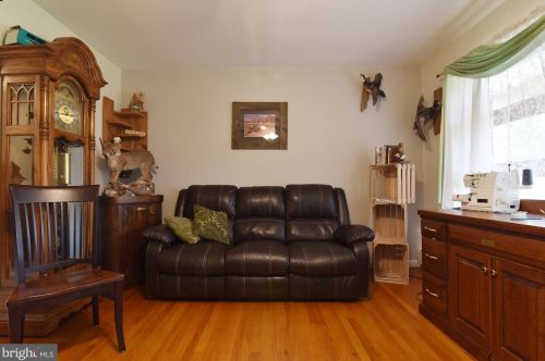 1117 Deturksville Rd, Lincoln Colliery, PA 17963-8375