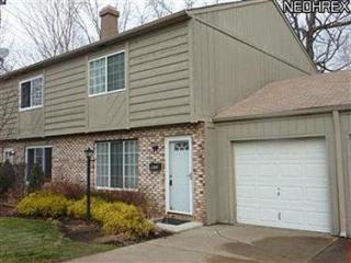 9653 Ryan Dr, Concord Township, OH 44060-1772