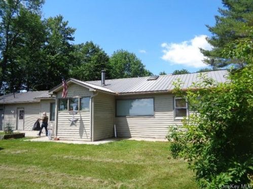 184 Bushville Swan Lake Rd, Ferndale, NY 12734-5500
