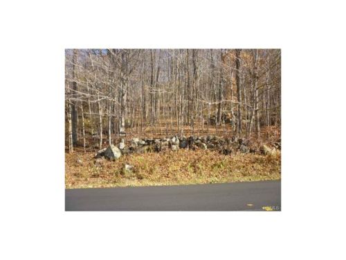 784 Branch Rd, Patterson, NY 12563-2119