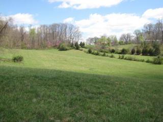 202 Mashburn Rd, Telford, TN 37690-3133