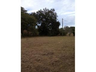 1306 Rock Crusher Rd, Homosassa, FL 34448-1609