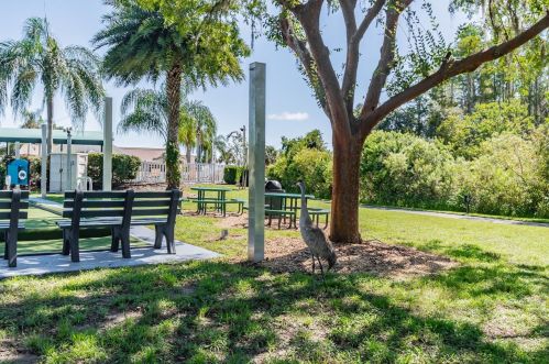 7408 Trovita Rd, Land O Lakes FL  34637-7418 exterior