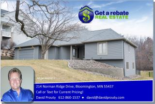 214 Norman Ridge Dr, Minneapolis, MN 55437-1710