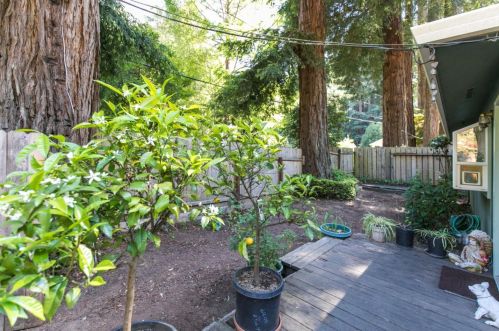 498 Redwood Dr, Lompico CA  95018-9123 exterior