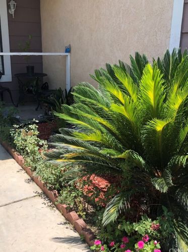 1758 Westwind St, Colton, CA 92324-6200