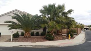 17914 Udall Dr, Sun City, AZ 85374-2912