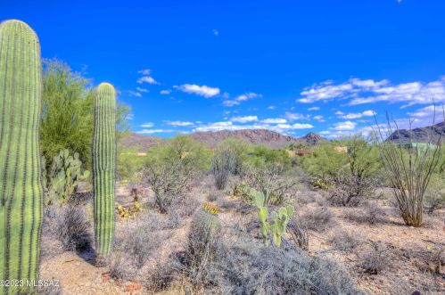 2001 Flying Q Ln, Tucson AZ  85713-6726 exterior