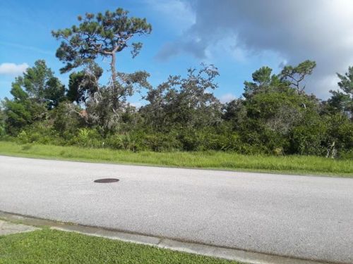 2956 Sereno Pointe Dr, Titusville, FL 32796-4708
