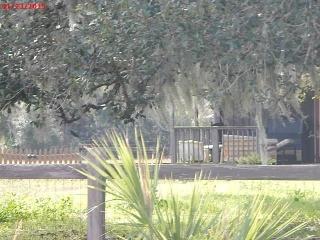 1038 Lightfoot Rd, Wimauma, FL 33598-7702