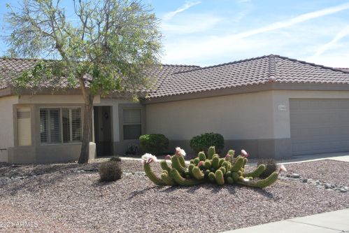 15960 Indigo Ln, Sun City, AZ 85374-6116