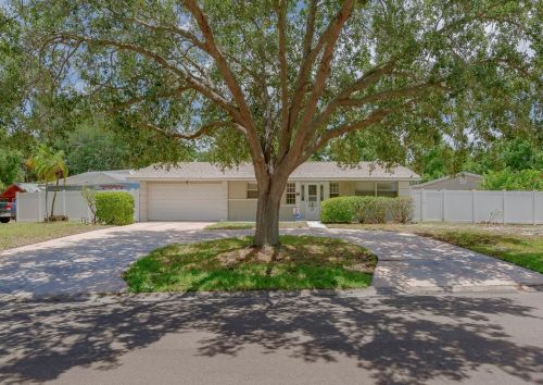 89 89th Ave, Saint Petersburg, FL 33702-3267