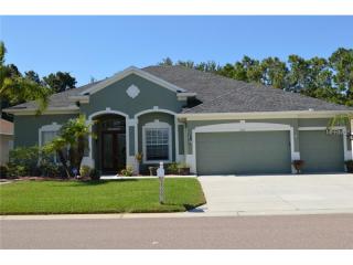 2509 Wood Pointe Dr, Tarpon Springs, FL 34691-7804
