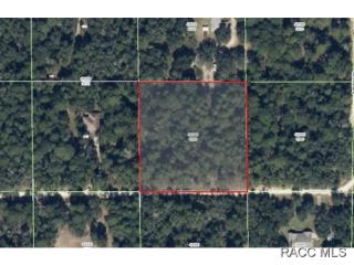 1407 Jenny St, Lecanto, FL 34461-8567