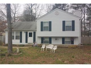 3406 Hollow Ridge Ct, Chesterfield, VA 23832-8560