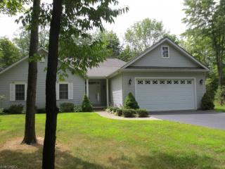 12279 Butternut Rd, Newbury, OH 44065-9509
