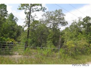 7718 Hunterhill St, Dunnellon, FL 34433-6316